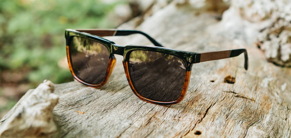 Black Tortoise*Walnut*Basic Polarized G15 + Black Tortoise*Walnut*HD Plus Polarized G15 | CAMP Ridge Black Tortoise Sunglasses